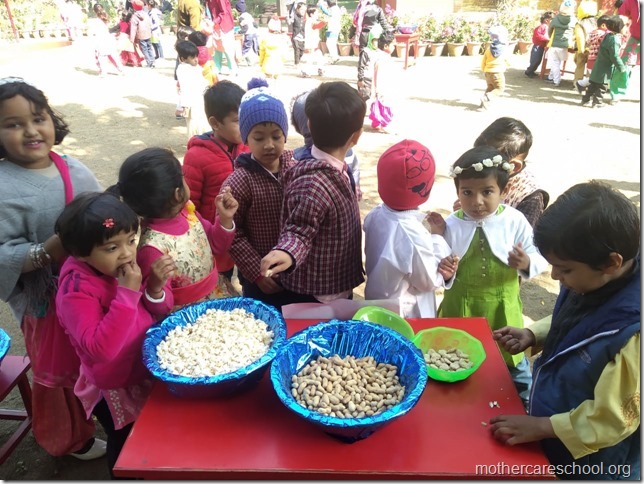 Lohri (10)