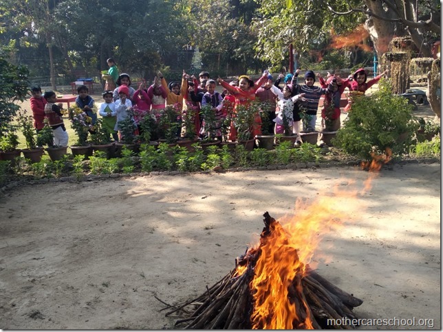 Lohri (12)