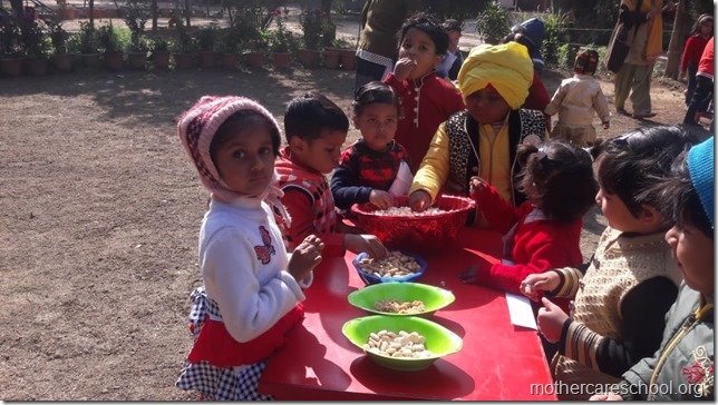 Lohri (4)