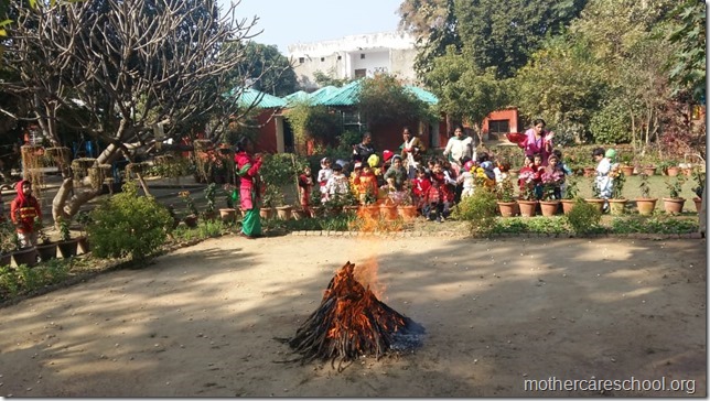 Lohri (6)