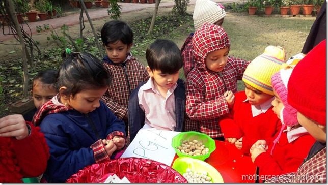 LOHRI and Makar Sankranti celebration in school with a bonfire (2)