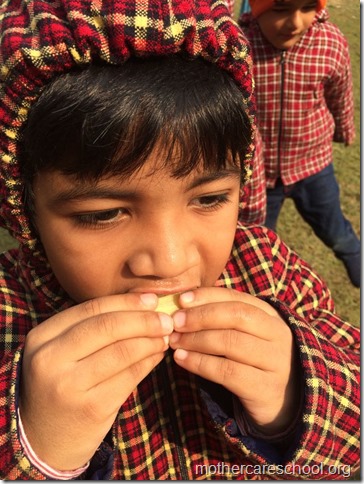 LOHRI and Makar Sankranti celebration in school with a bonfire (5)