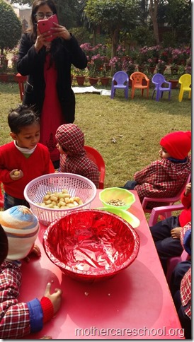 LOHRI and Makar Sankranti celebration in school with a bonfire (8)