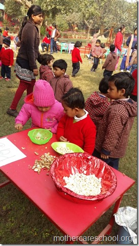 LOHRI and Makar Sankranti celebration in school with a bonfire (9)