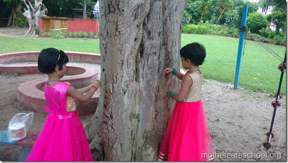 Love you tree. Vow to protect you always