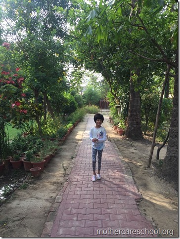Lush Green
