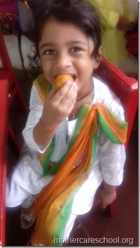 Mama gave us tiffin matching my flag. I love my flag  (1)