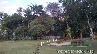 mothercare school,lucknow, garden (11)