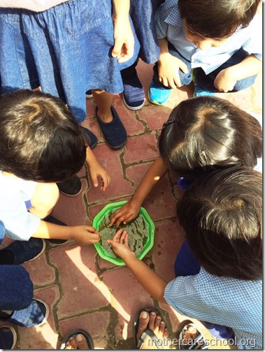 Mothercare school kids planting (15)