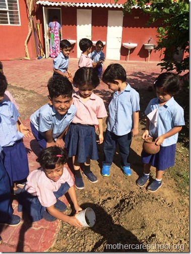 Mothercare school kids planting (17)