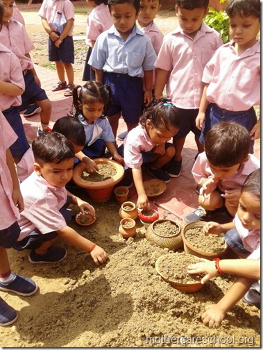 Mothercare school kids planting (18)