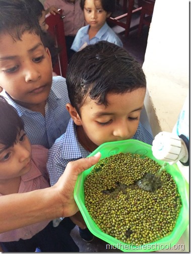 Mothercare school kids planting (2)