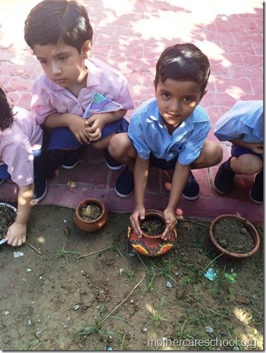 Mothercare school kids planting (9)
