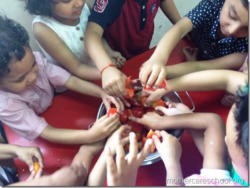 Nursery School kids harvesting organic tomatoes (8)