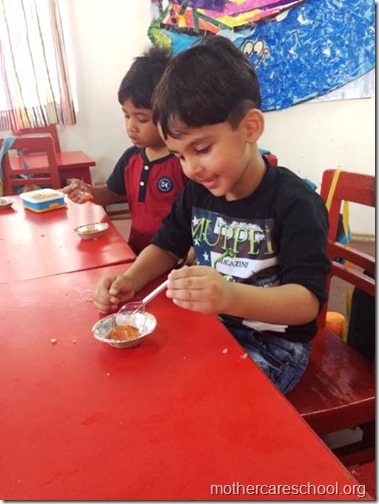 Nursery School kids harvesting organic tomatoes (9)