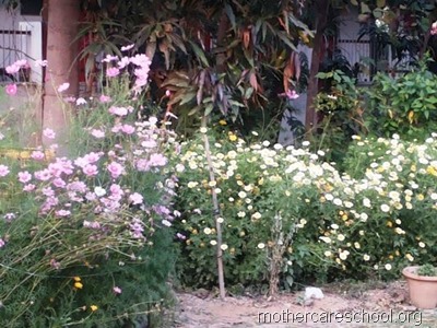 nursery school lucknow (1)