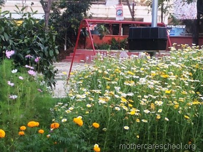 nursery school lucknow (4)