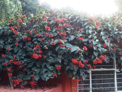 nursery school lucknow (7)