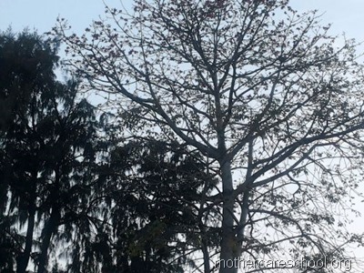 nursery school lucknow (8)