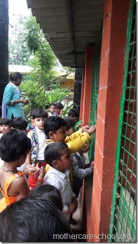Playgroup children  learning about gratitude to those who nurture and care for us like the teachers, ayahs, van bhayiyas, trees and plants and Moolchand mali bhaiya by tying rakhis (5)