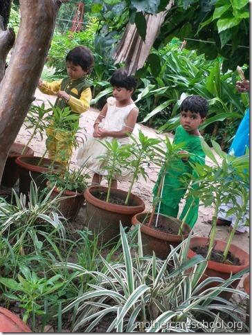 playgroups (5)