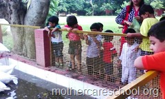 rakhee celebrations at mothercare school lucknow (21)