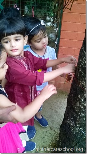 Raksha Bandhan at Mothercare school (15)
