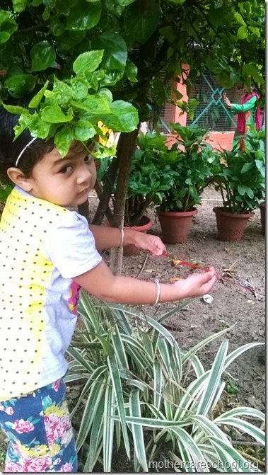 Raksha Bandhan at Mothercare school (7)