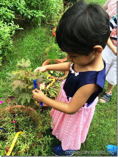 Raksha Bandhan at Mothercare school (8)