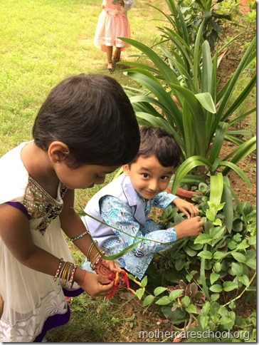 Rakshabandhan   (2)