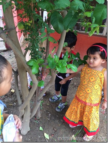 Rakshabandhan   (4)
