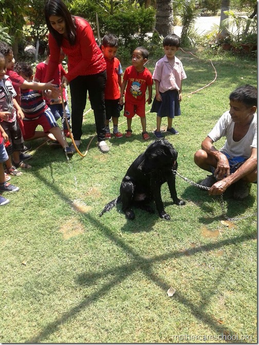Red Day at Mothercare Nursery school Lucknow (4)