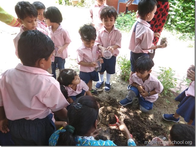 sowing activity (1)
