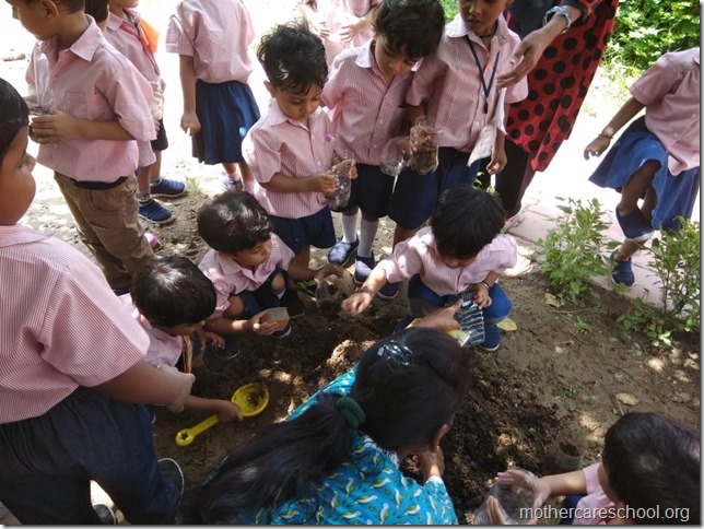 sowing activity (2)