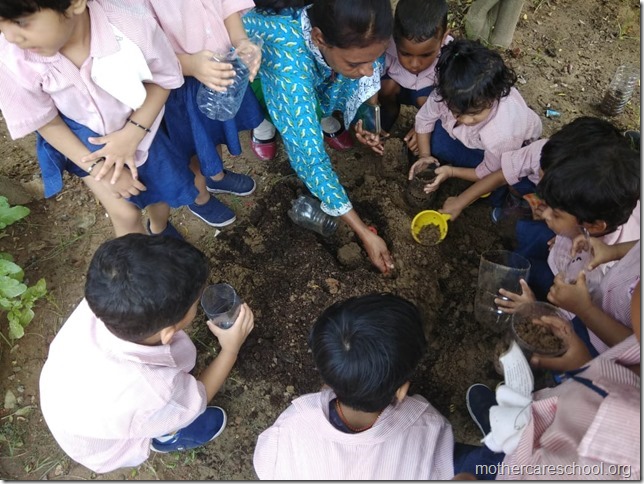 sowing activity (3)