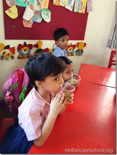 Sprouts are ready at Mothercare school Lucknow (4)