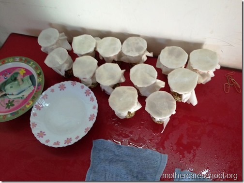 Sprouts are ready at Mothercare school Lucknow (6)