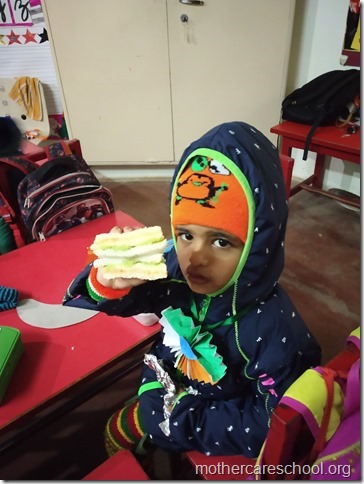 Tricolour Tiffin (1)