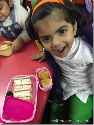 Tricolour Tiffin (6)