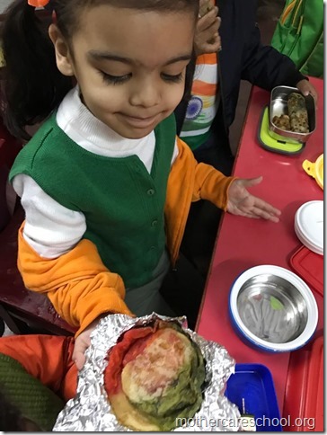 Tricolour Tiffin (7)