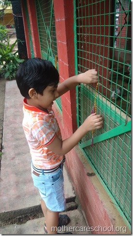 Vow to protect you bunny rabbits. (2)