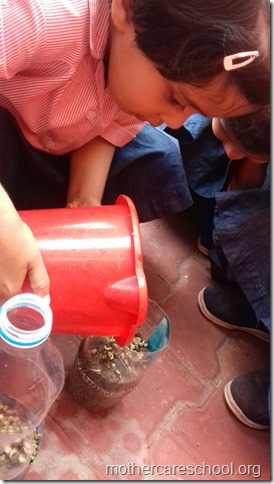 watering and taking care of their plants (2)
