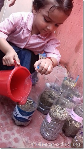 watering and taking care of their plants