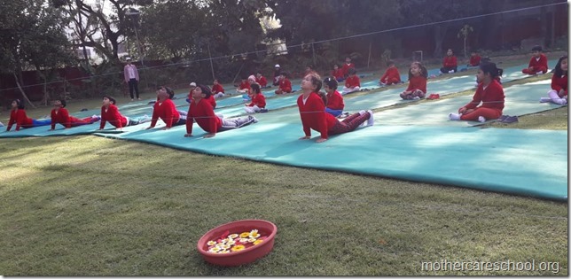 yoga lkg mag (9)